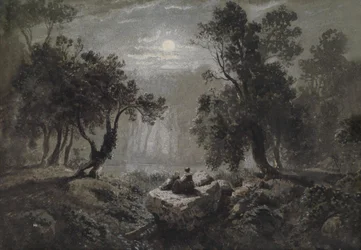 Een romantisch boslandschap in het maanlicht